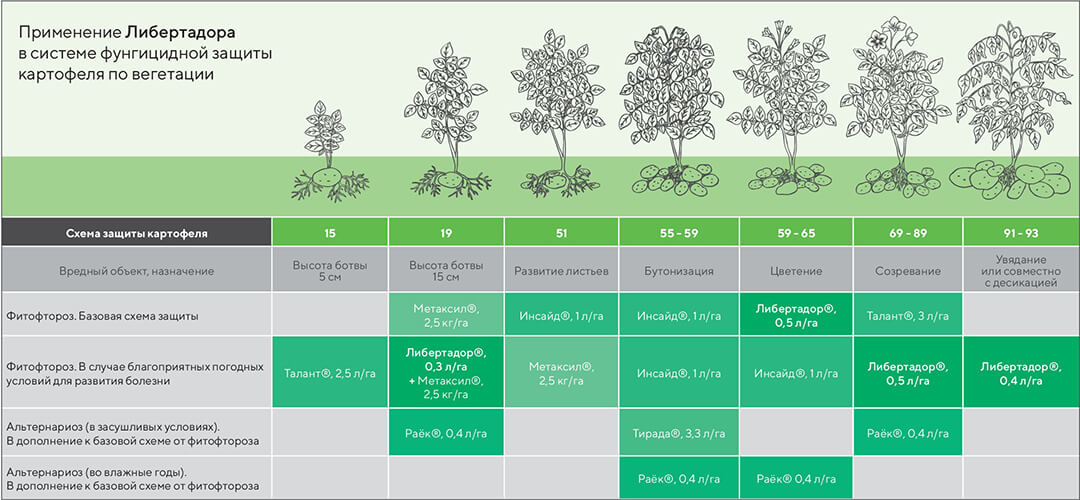 От фитофтороза 