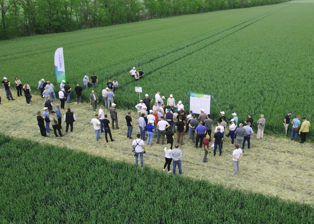 Майдагы "Август" иш-чараларынын дайджести