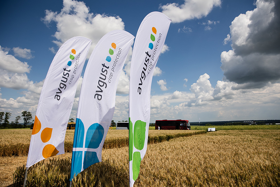 «Августовский» семинар в Курске