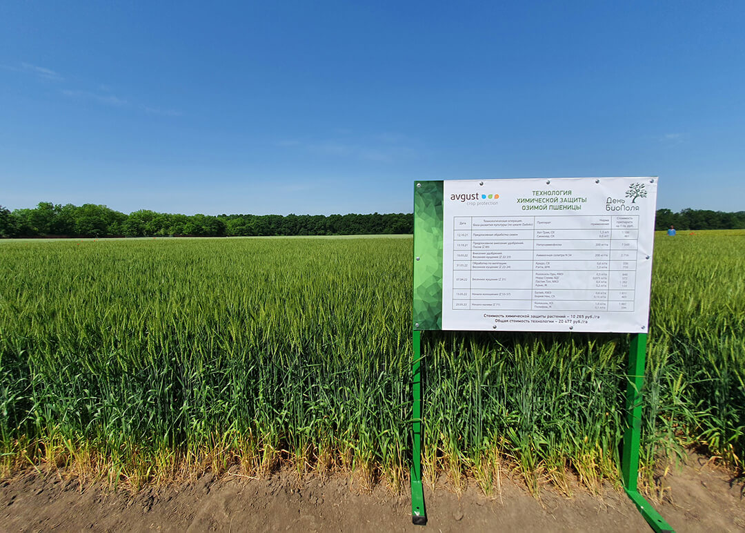 Биофилддин түбүндө" Август " - 2022