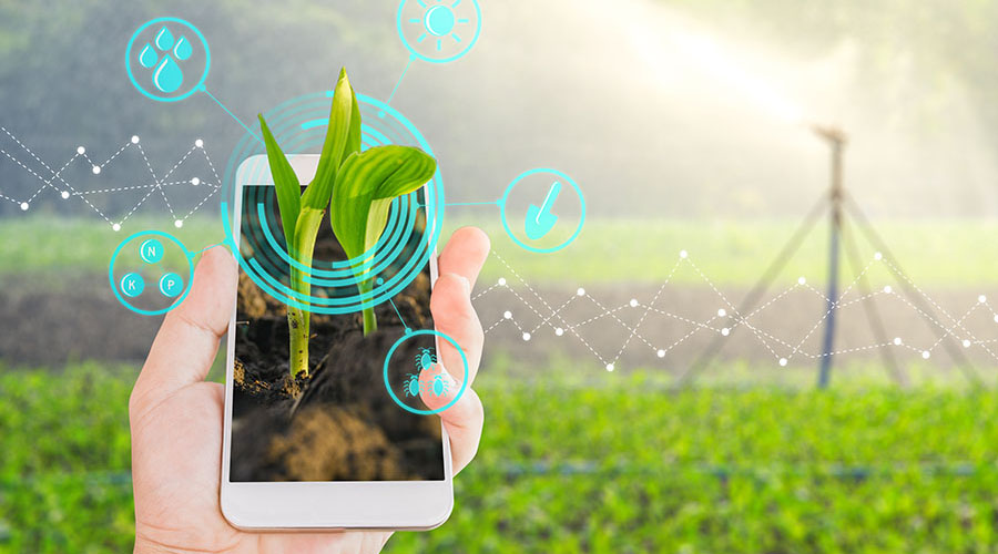 Орусиянын өнөр жай жана соода министрлиги "Август"компаниясынын санариптештирүү деңгээлин жогору баалады