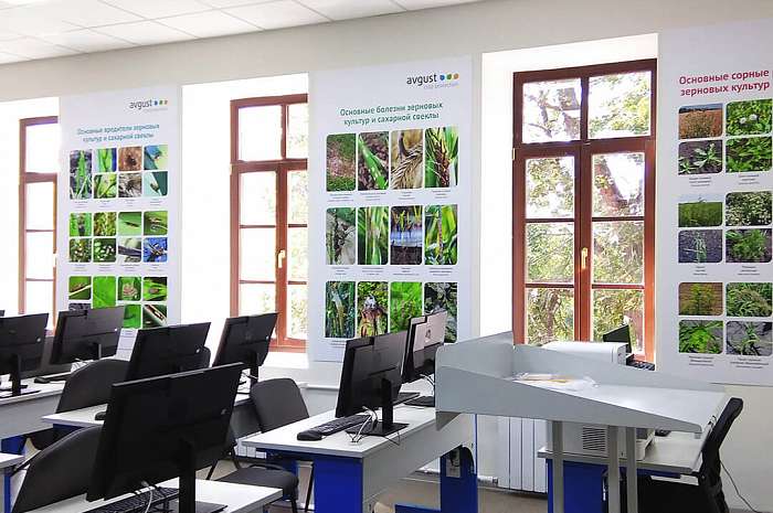 Жаш муунга кам көрүү