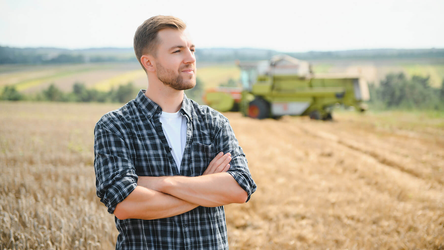 Айылга көз чаптырсам: РФда айыл чарбасын өнүктүрүү үчүн кадрлар, техника жана акча жетишпейт