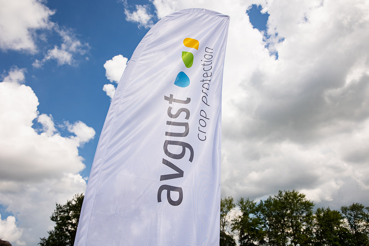 "Август" Татарстанда жогорку маржадагы өсүмдүктөрү бар интенсивдүү дыйканчылык системасына арналган талаа күнүн өткөрөт