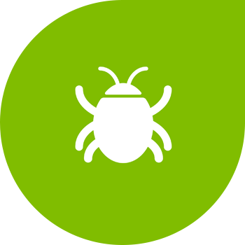 Айкаш жыгачтар