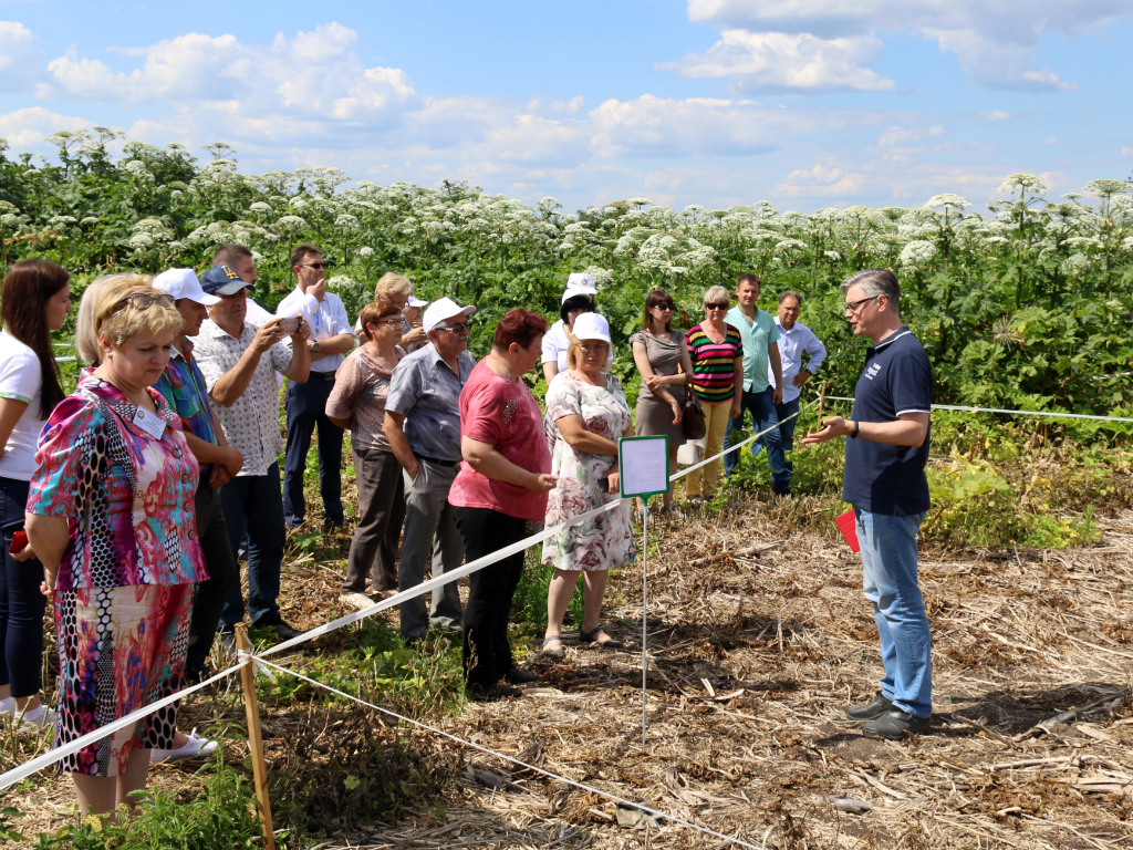 Москва: хогвидден кантип арылууга болот
