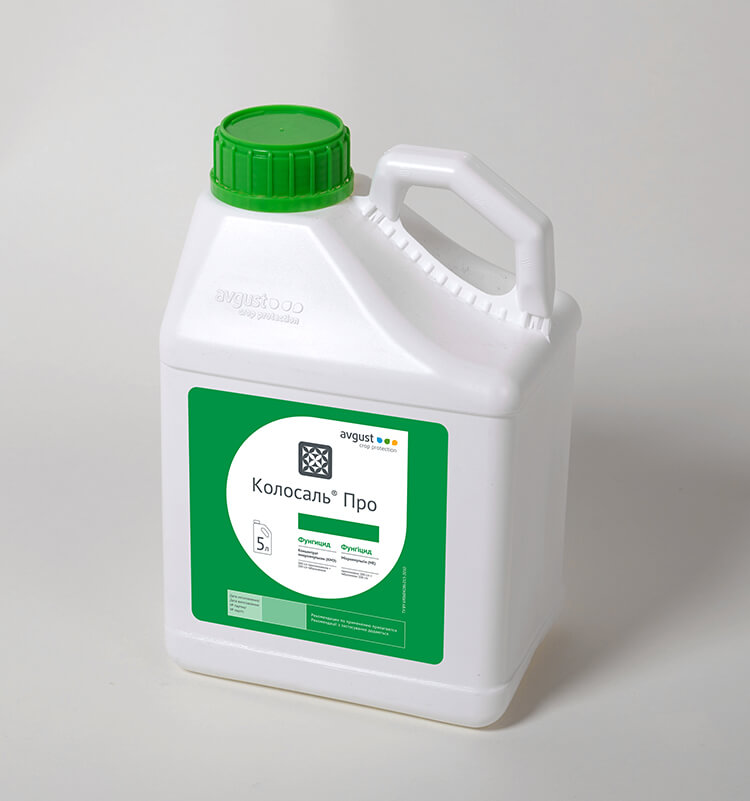 Дыйкандар өз өндүрүшүнүн активдүү компоненттер менен биринчи дары "Баш оона" кабыл алды