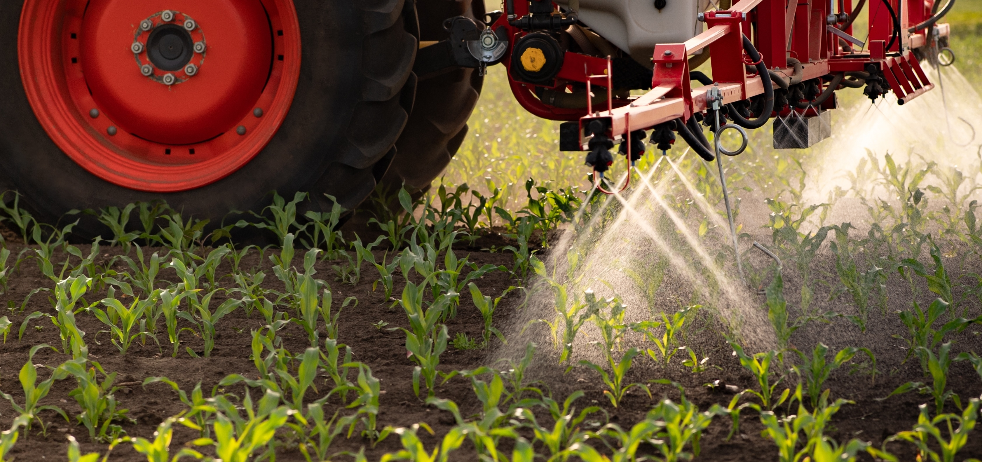 "Август": пестициддерди колдонууну эсепке алуудагы көйгөйлөр жана абалды оңдоо чаралары тууралуу