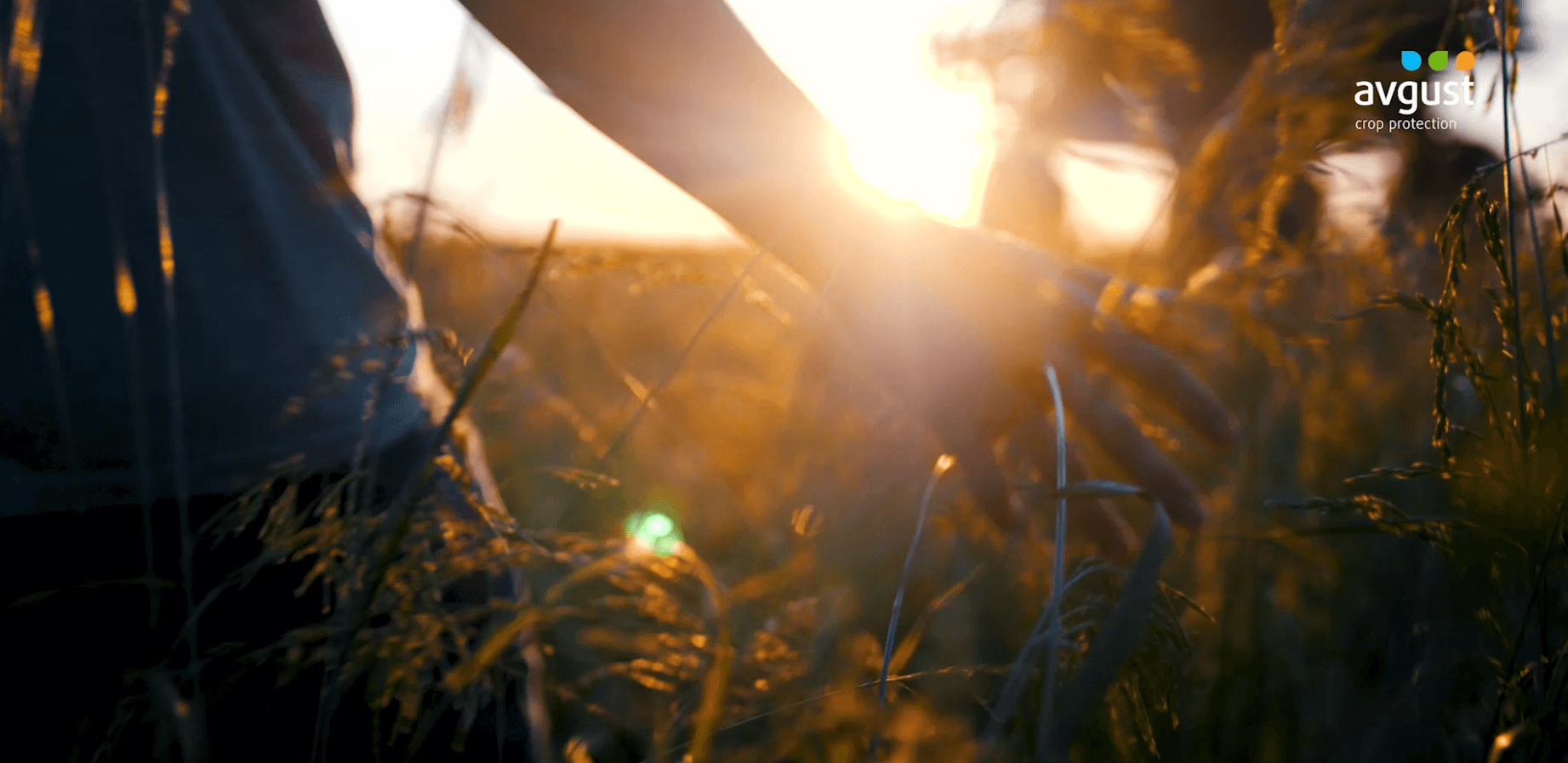 Агродолбоор