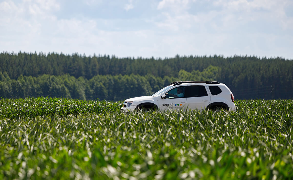 Хозяйства «Август-Агро» произвели 550 тыс. тонн сельхозпродукции по итогам 2022 года