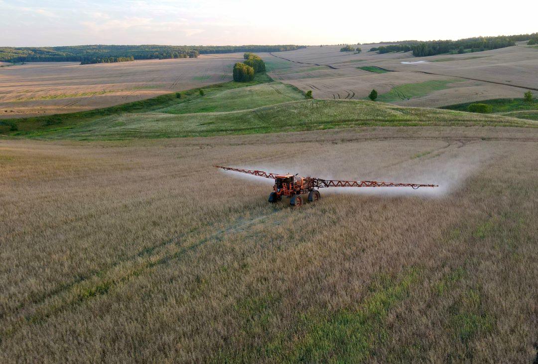 Август " компаниясы агрардык рыноктун жаңы стресстеринин шарттарында өсүмдүктөрдү коргоо каражаттарына суроо-талаптын өзгөчөлүктөрү жөнүндө айтып берди