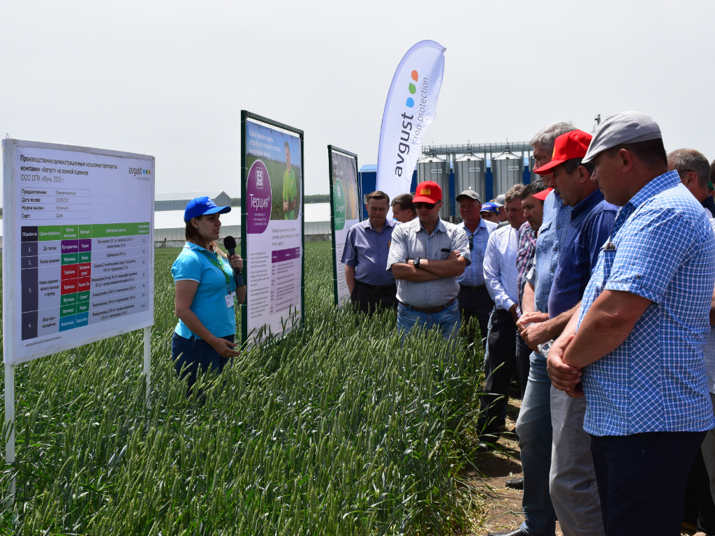 Ставрополье: День поля в Новоселицком районе