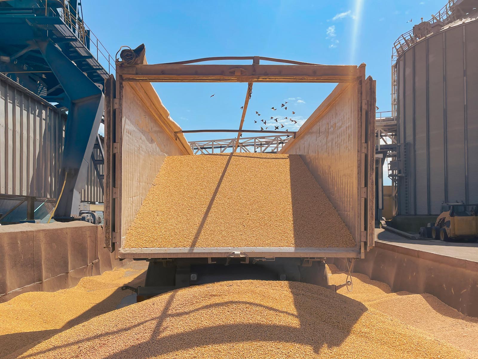 Татарстандын Айыл чарба продукциясынын экспорту 7% өстү%