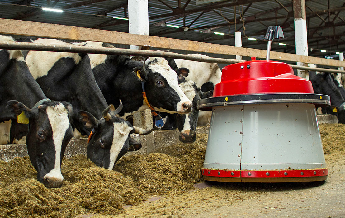 Тоо "Уразметь"