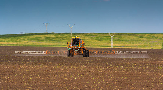 В компании «Август» прогнозируют прирост площади применения средств защиты растений в России
