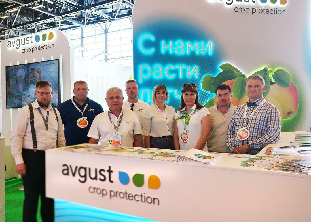 Саранча в Ставрополье и луговой мотылек в Сибири: названы главные вредители сельскохозяйственного сезона-2020