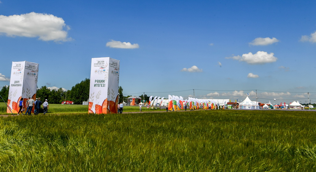 Татарстанда талаа күнү - 2019