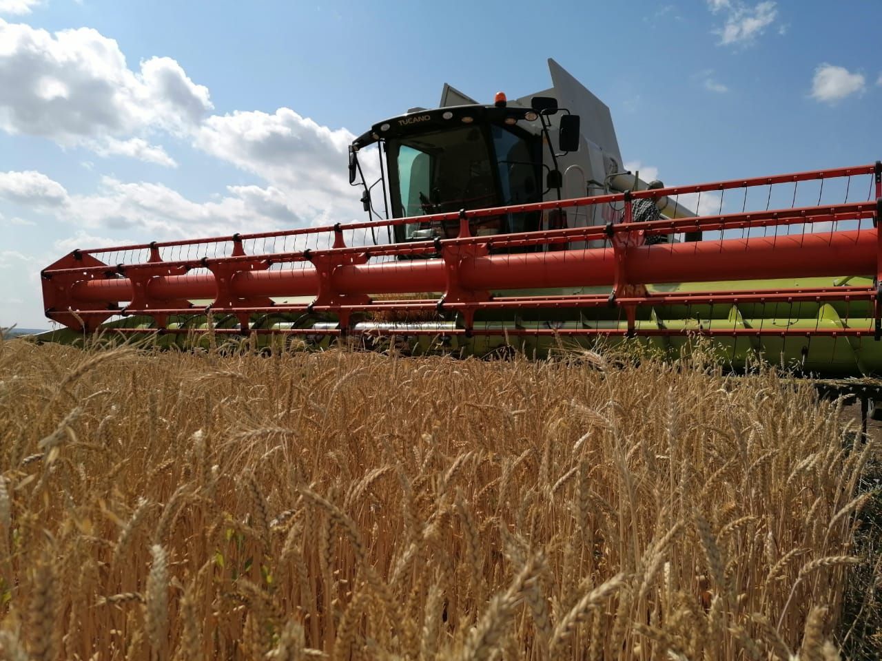 Объем урожая в хозяйствах УК «Август-Агро» по итогам 2022 года ожидается на уровне 500 тыс. тонн