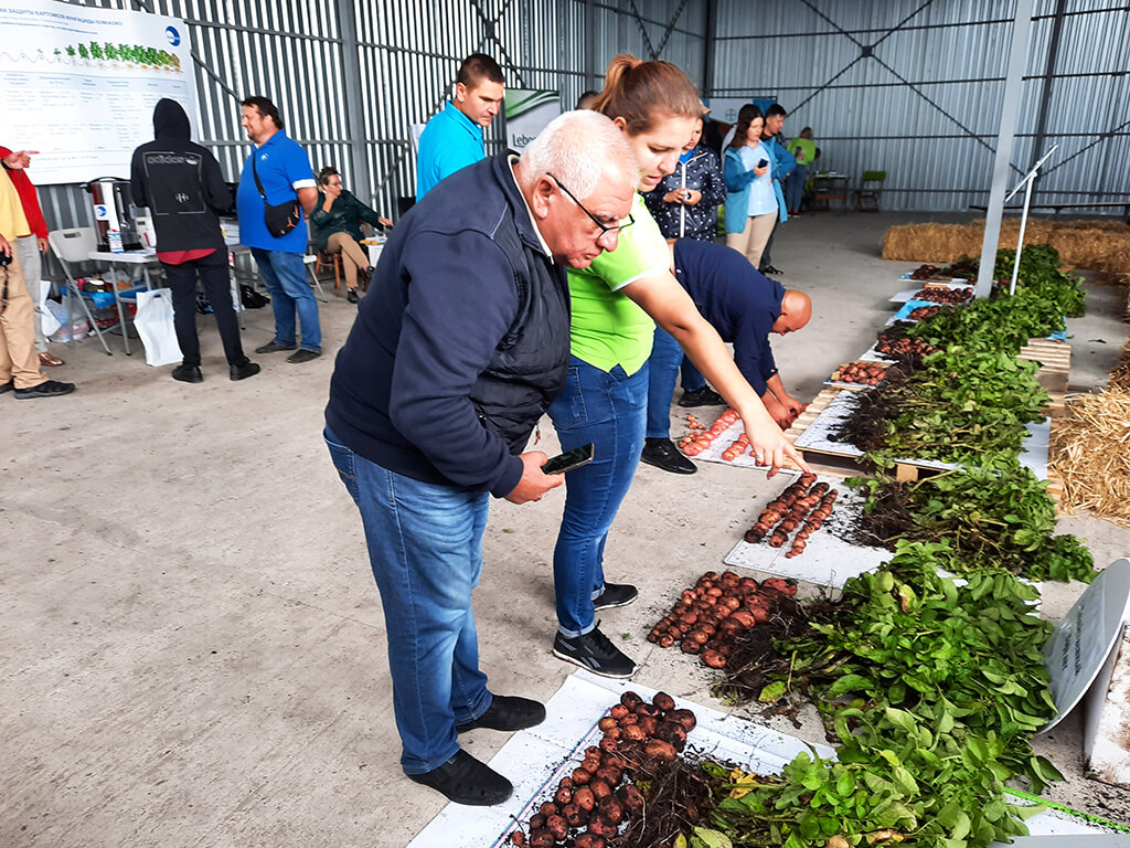 Встреча картофелеводов на Ставрополье