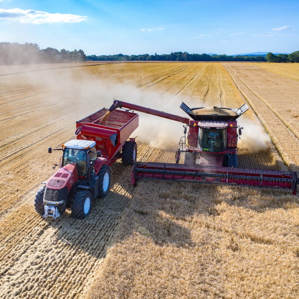 Талаа өсүмдүктөрүнүн түшүмдүүлүгүн эсептөө