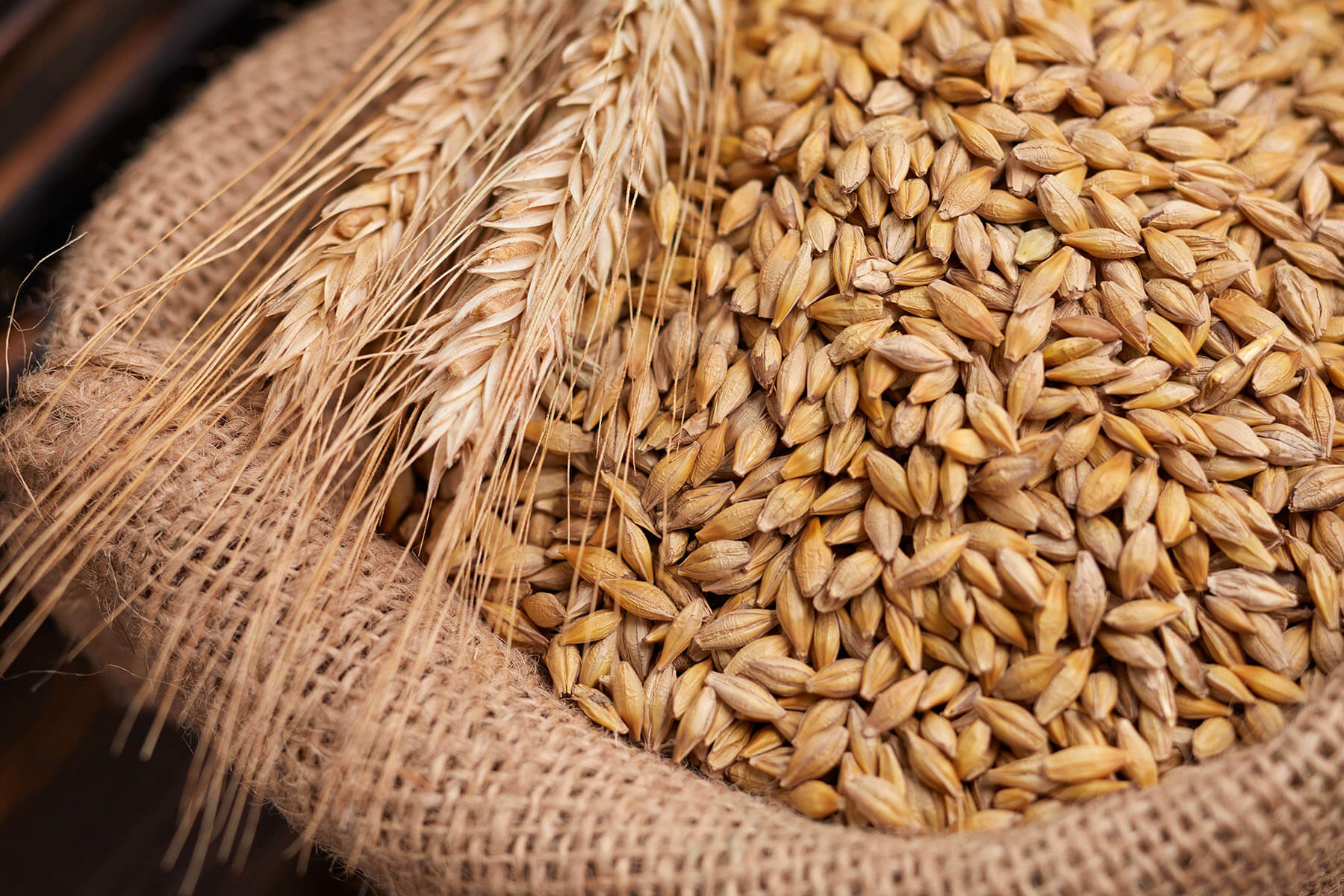 "Август-Агро" Агрохолдинг Татарстанда дан эгиндеринин түшүмү боюнча лидер болду