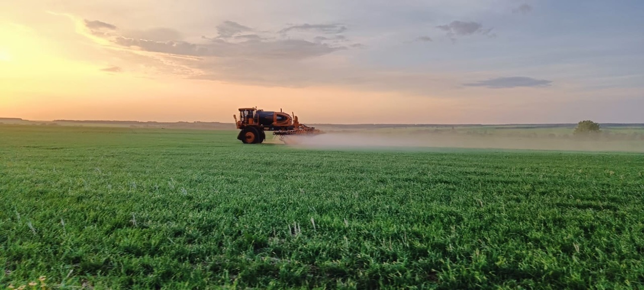 2023-жылы "Августа" препараттары 17-жылга караганда 2022% көбүрөөк россиялык өсүмдүктөрдү коргойт