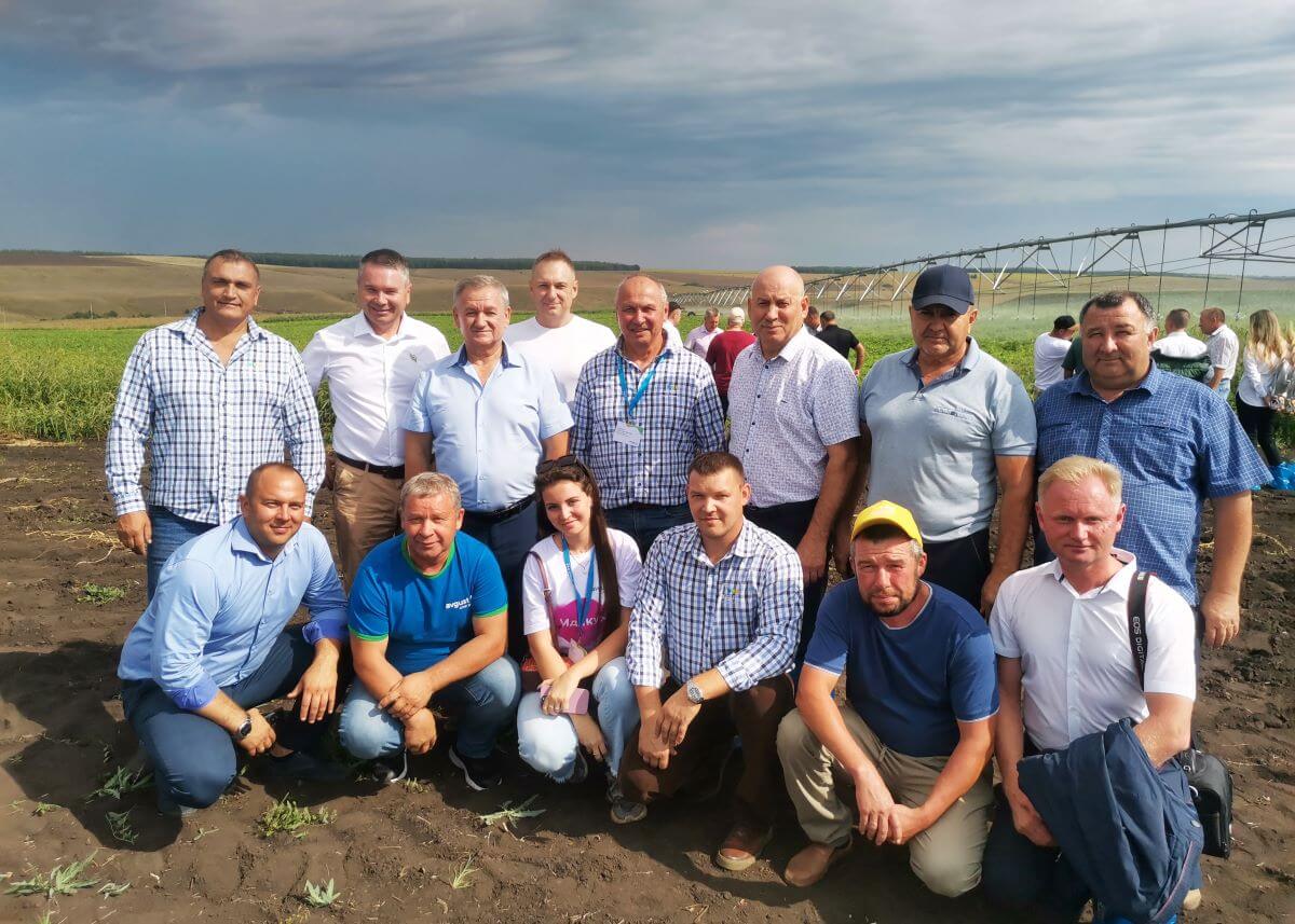 Самара облусунда дыйкандар үчүн талаа түбүндө" Август"