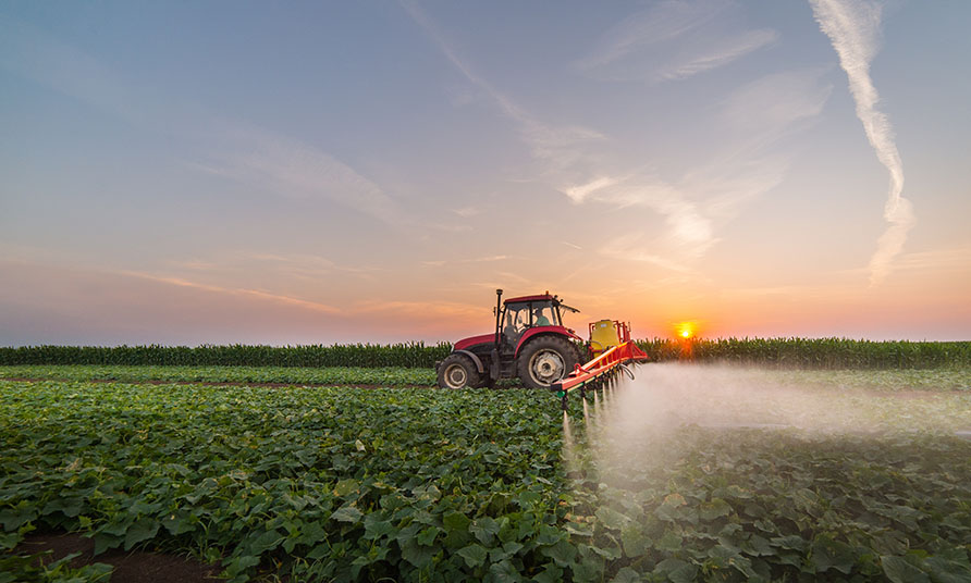 Фальсификат-талааларга коркунуч: "Августтун" эксперттери сапатсыз пестициддерди колдонуунун кесепеттери тууралуу айтып беришти