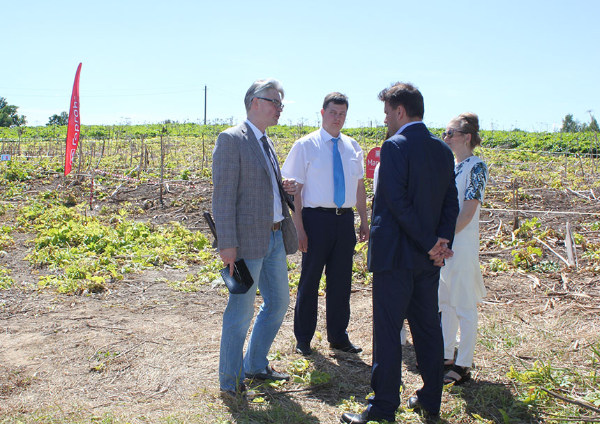 Представителям муниципалитетов Подмосковья продемонстрировали эффект действия гербицидов «Августа» против борщевика