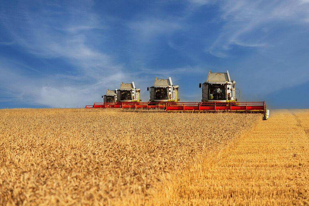 Айыл чарба жана кайра иштетүү кызматкерлеринин күнү менен