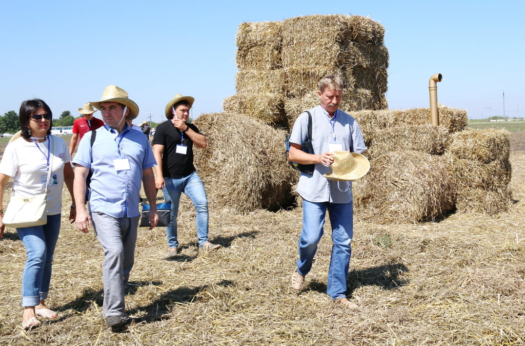 Түндүк Осетияда картошка талаасы күнү