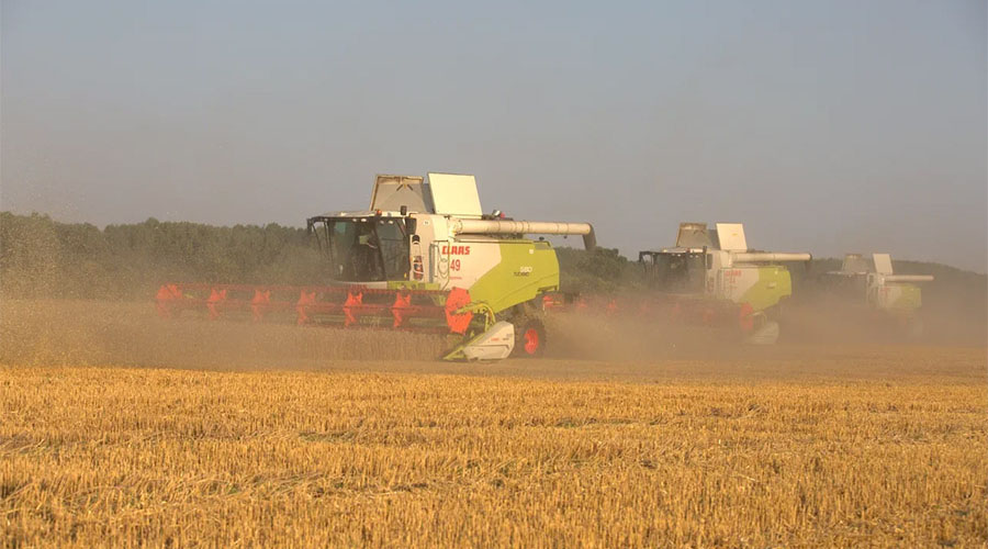 Как климатические изменения повлияли на урожай и что происходит с ценами на гречку и подсолнечник: итоги сельхозсезона-2020