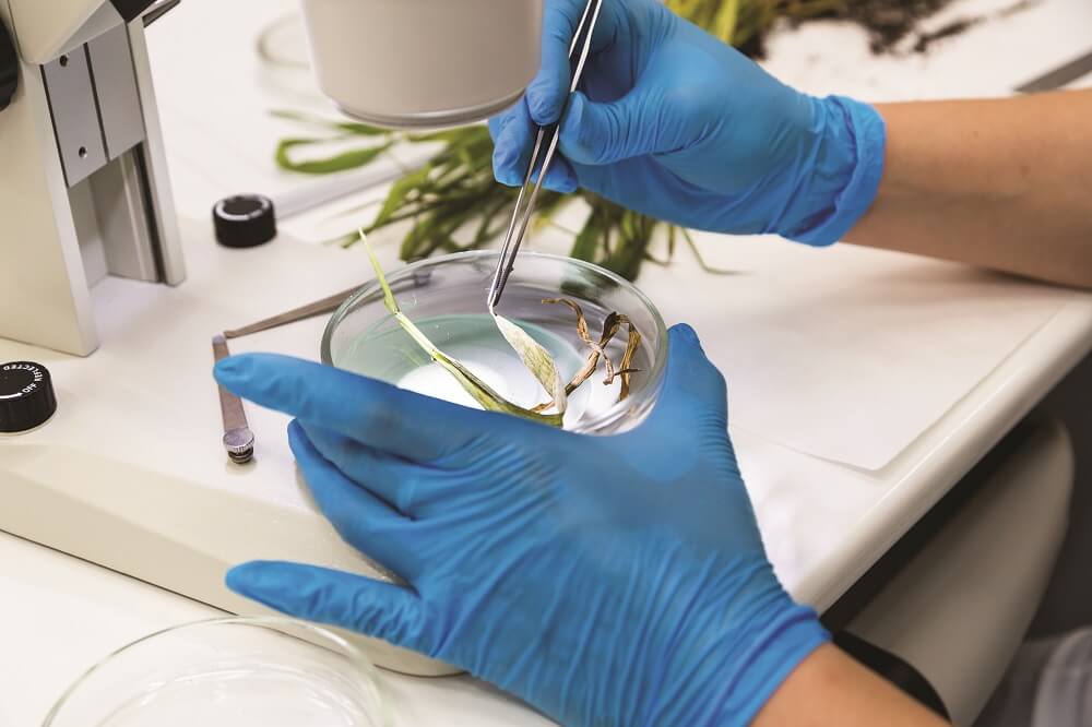 «Аграрии задумались, как не потерять плодородие почв»