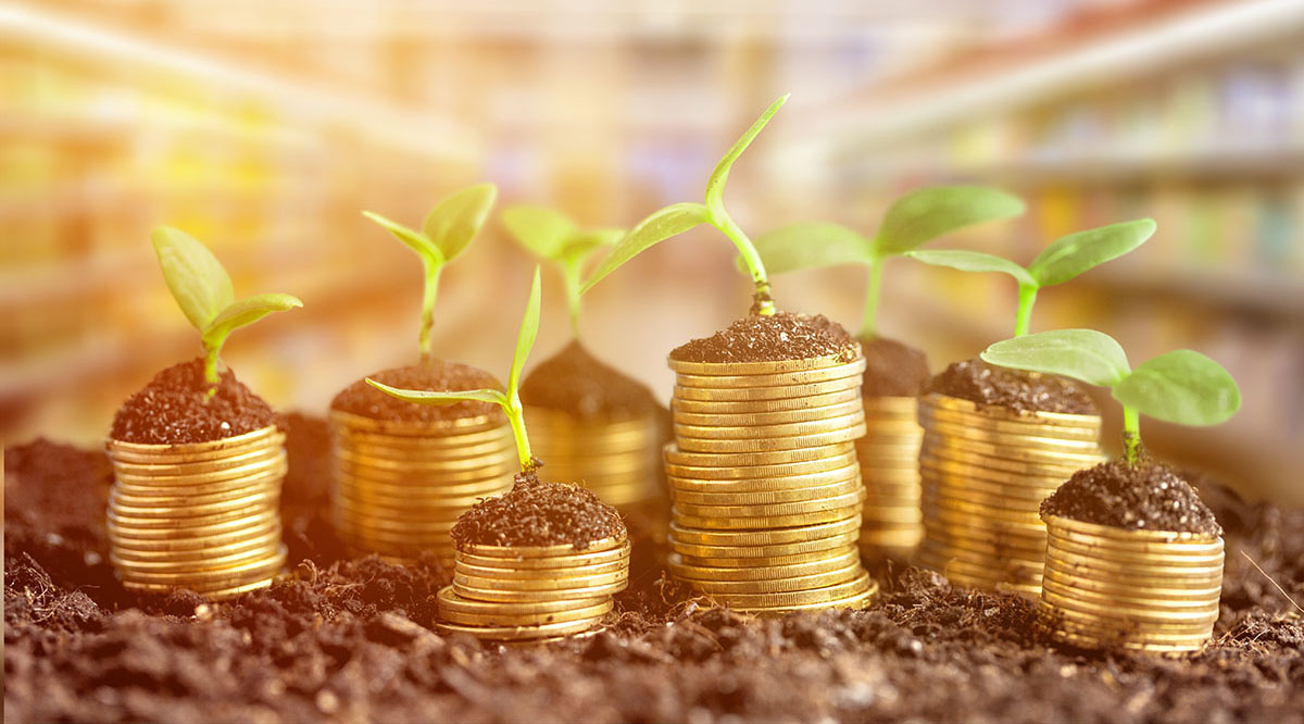 "АГРОВОЛГО-2024" көргөзмөсүнүн экинчи күнү