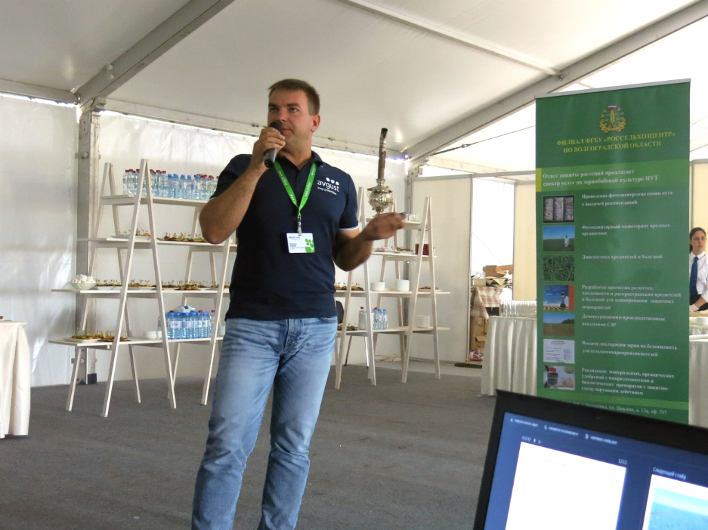 Волгоград: нокотту кантип коргоо керек